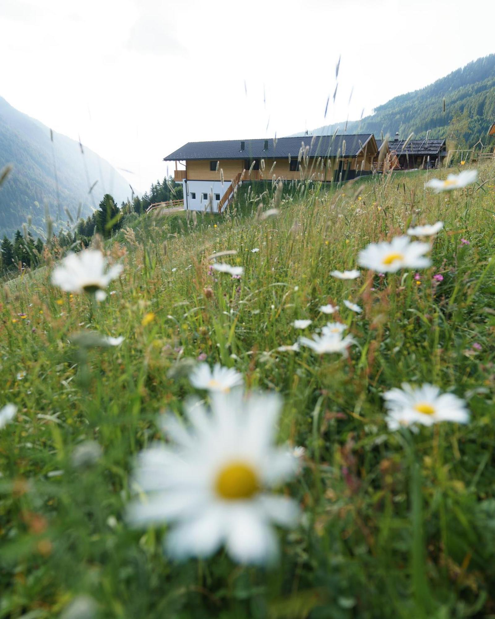 Blosegghof Bergchalets Waldblick Racines Eksteriør billede